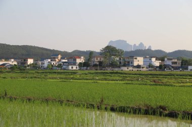Önünde beyaz duvarları ve siyah fayansları olan bir apartman kompleksi var. Arkalarında dağlar uzanırken, diğer evler bu binaların her iki tarafından da görülebiliyor..