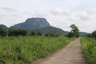 Küçük yol dağ zirvesine çıkar, uzaktaki yeşil çimenler ve yüksek dağlarla. Uzak görüş, sokağın her iki tarafındaki yemyeşil bitkileri gösteren geniş açılı bir mercekten açıkça görülebiliyor..