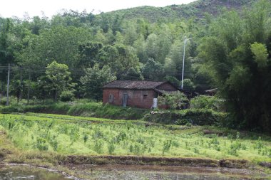 Çin yazında, yeşil çimlerin üzerinde ve ağaçlarla çevrili yüksek dağlarla çevrili eski bir kırmızı tuğla ev vardır. Önünde pirinç tarlalarının yanında küçük beyaz bir ışık direği duruyor..
