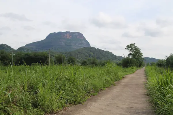 Küçük yol dağ zirvesine çıkar, uzaktaki yeşil çimenler ve yüksek dağlarla. Uzak görüş, sokağın her iki tarafındaki yemyeşil bitkileri gösteren geniş açılı bir mercekten açıkça görülebiliyor..