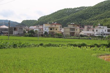 Önde yeşil bir pirinç tarlası, arkasında ağaçlarla kaplı tepelerle çevrili birkaç modern evde beyaz duvarlar ve kırmızı fayanslar var. Bir evin önünde insanların oynayabileceği ya da çiftçilik yapabileceği açık bir alan var..