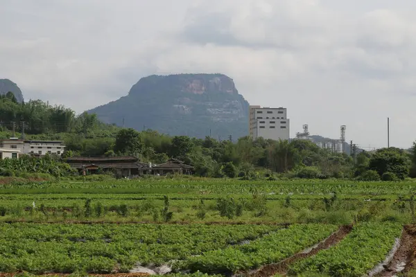 Önünde büyük bir sebze tarlası, arkasında küçük binalar ve dağlar var. Önünde ağaçlar ve bitkiler de dahil olmak üzere yeşilliklerle çevrili bir sanayi binası var..