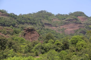 Üzerinde yeşil orman olan bir dağ. Dağ ağaçlarla kaplı.