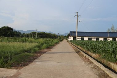 Yan yol, her iki tarafında yeşil tarlalar ve mısır ağaçları olan mavi çatılı eski bir Çin tarzı fabrika binasına çıkıyor. Resim uzaktan çekilmiş, tüm sahneyi gösteriyor..