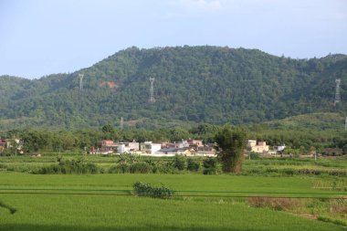 Uzakta yeşil bitki örtüsü ve evleri olan bir Asya dağı var. Önünde yazın yemyeşil pirinç tarlaları var..