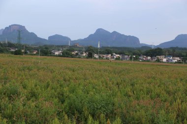 Uzakta, önünde ve arkasında Asya 'ya ait bir dağ sırası var. Yakından bakıldığında, yeşil çimenler her iki tarafta hizalanır ve aralarında yüksek düz alanlar bulunur. Deniz seviyesinde bir kasaba var..