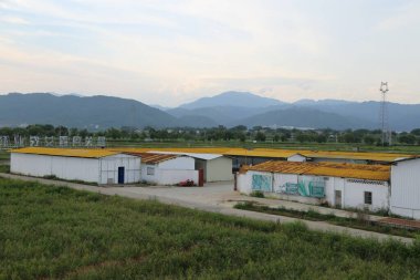 Çatılarında mavi grafiti olan küçük beyaz ve sarı evlerin önünde yeşil tarlalar var. Uzakta sonsuz bir dağ sırası var..