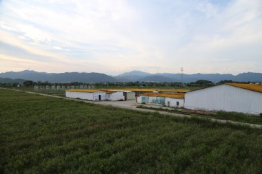 Ön planda sarı çatıları ve yeşil otları olan beyaz binaların fotoğrafı, güney Çin 'de tarlalar ve dağlarla çevrili, tepeden bakan manzaralı..