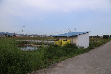 Mavi çatılı küçük beyaz bir bina ve yolun yanında sarı bir yağmur suyu tankı. Önünde çeltik tarlalarının içinde su bulunan açık bir pirinç tarlası var..