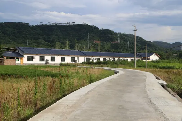 Ortası pirinç tarlaları ve güney Çin 'deki dağlarla çevrili, mavi çatılı bir dizi modern tek katlı bina. Bu evlere giden yol beton levhalarla kaplı..