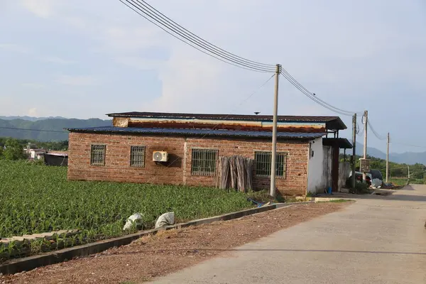 Güney Çin 'in kırsal kesimindeki yeşil sebze tarlalarının önünde asfalt bir yolun kenarında mavi çatılı, beyaz duvarlı ve gri fayanslı küçük tuğladan bir ev duruyor..