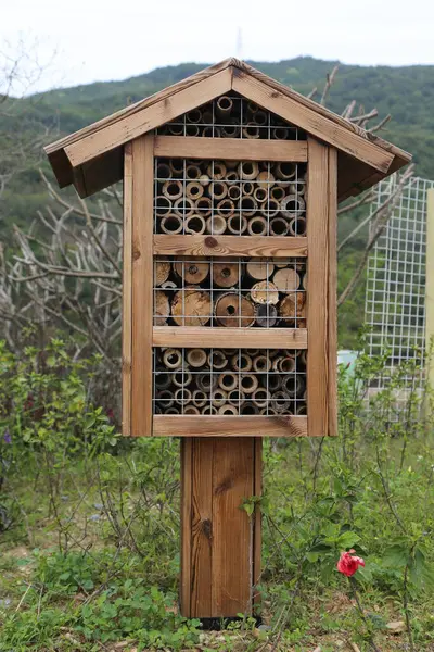 Farklı boyutlarda arı yuvaları için çoklu ızgara kapılı basit bir ahşap bahçe arısı evi. Yeşilliğin ortasında demir bir direğin üstüne yerleştirilmiş. Arka plan, dağları ve ağaçları olan bulanık bir manzara..