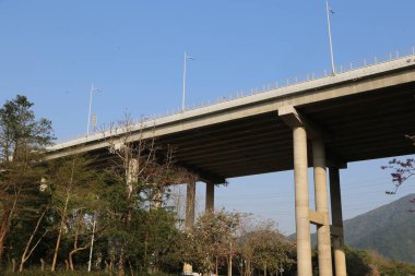 Üzerinde açık mavi gökyüzü olan bir köprü. Köprünün iki tarafında da ağaçlar var.