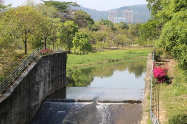 Nehrin karşısında, Shenzhen 'in kuzey yağmur ormanlarında yeşil ağaçlar ve otlaklarla çevrili, modern binalar bir dağın tepesinde..