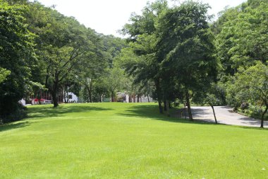 Parkta, her iki tarafında yeşil çimenler ve ağaçlar olan açık bir alan var. Önümdeki binalara giden bazı yollar da var. Fotoğraf yakınlardan çekilmiş..