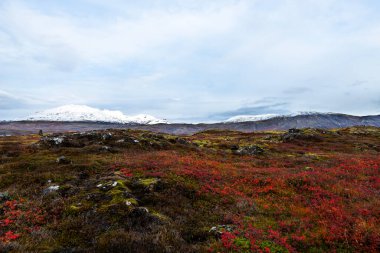 İzlanda 'nın mistik manzarası