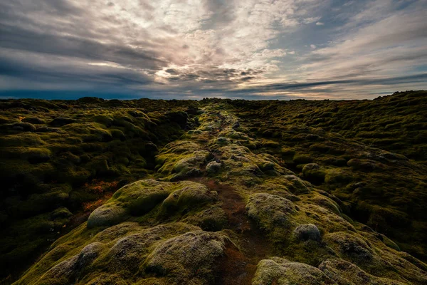 Містичний Пейзаж Ісландії Лавовий Камінь — стокове фото