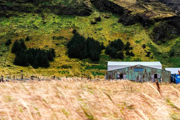 Містичний Ландшафт Ісландії Вік Мирдал — стокове фото
