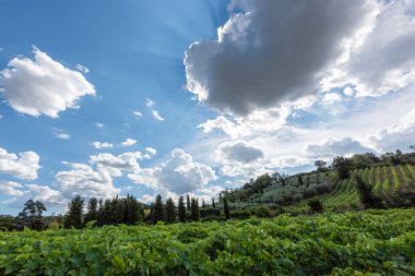 Toskana İtalya 'nın muazzam manzarası.