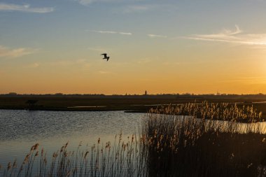 Hollanda Manzarası, Örnek doğa rezervi.