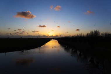 Hollanda Manzarası, Örnek doğa rezervi.