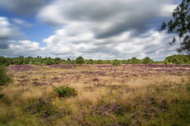 Hollanda Manzarası, Drenthe Dağları