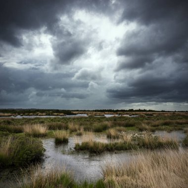 Hollanda Manzarası, Drenthe Dağları