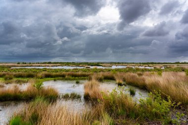 Hollanda Manzarası, Drenthe Dağları