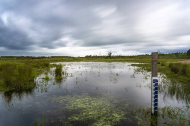 Hollanda Manzarası, Drenthe Dağları