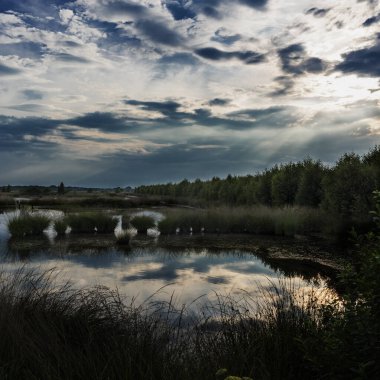 Hollanda Manzarası, Drenthe Dağları