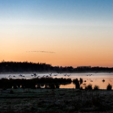 Hollanda Manzarası, Drenthe Dağları