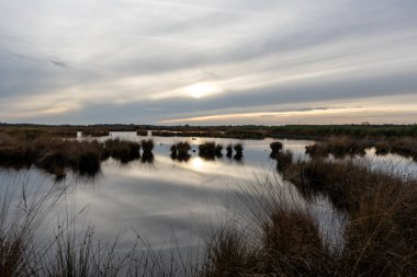 Hollanda Manzarası, Drenthe Dağları