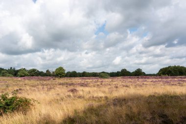 Hollanda manzarası, Drenthe Highlands