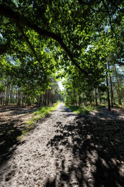 Hollanda Manzarası, Den Treek, Amersfoort 