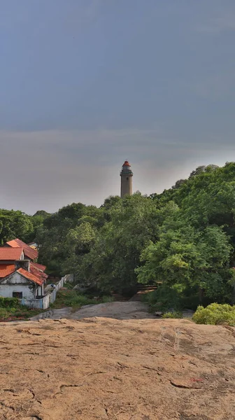 Ağaçlar ve çalılarla çevrili deniz feneri.