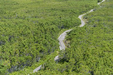 Lovrenska gölündeki ahşap patikada arka planda kule - Slovenya