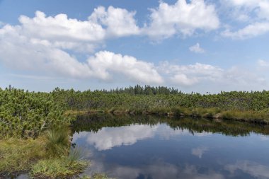 Slovenya 'nın Lovrenska göllerinin kara bataklık sularına yansıyan bulutlar