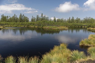 Slovenya 'nın Lovrenska göllerinin kara bataklık sularına yansıyan bulutlar
