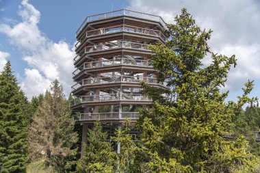 Ağaç tepelerinin üzerindeki orman paraşütü patikası, Rogla, Slovenya 'daki açık hava macerası