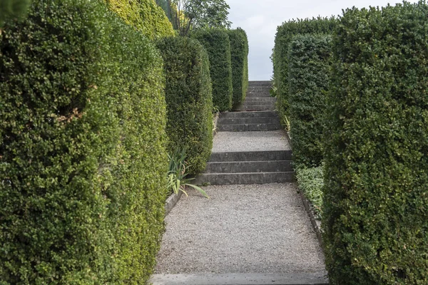 Ortaçağ şehri Stanjel ve güzel Ferrari bahçesi