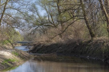 Slovenya 'da Mura Nehri