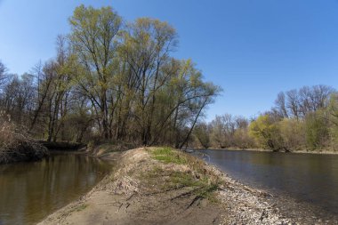 Slovenya 'da Mura Nehri