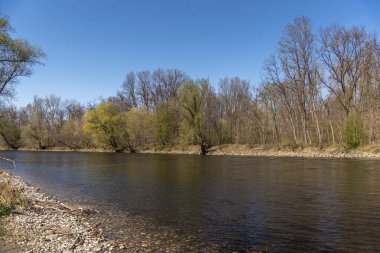 Slovenya 'da Mura Nehri