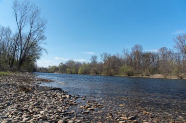 Slovenya 'da Mura Nehri
