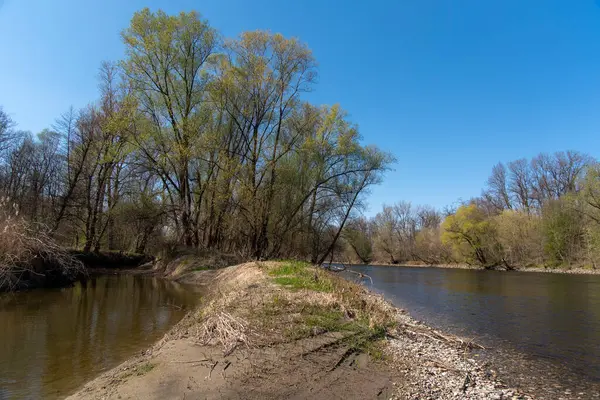 Slovenya 'da Mura Nehri