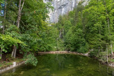 TOPLITZ Gölü üzerinde nefes kesici bir manzara (Toplitzsee, Avusturya, Avrupa)