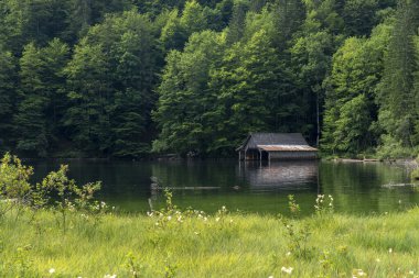 TOPLITZ Gölü üzerinde nefes kesici bir manzara (Toplitzsee, Avusturya, Avrupa)