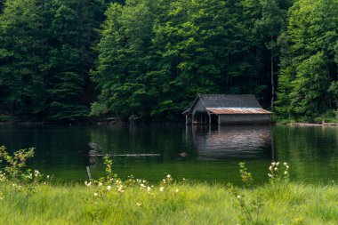 TOPLITZ Gölü üzerinde nefes kesici bir manzara (Toplitzsee, Avusturya, Avrupa)