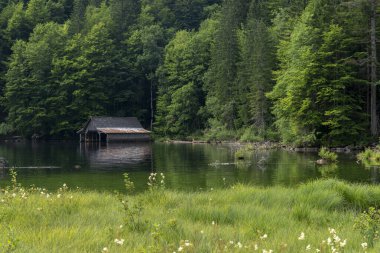 TOPLITZ Gölü üzerinde nefes kesici bir manzara (Toplitzsee, Avusturya, Avrupa)