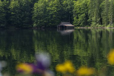 TOPLITZ Gölü üzerinde nefes kesici bir manzara (Toplitzsee, Avusturya, Avrupa)